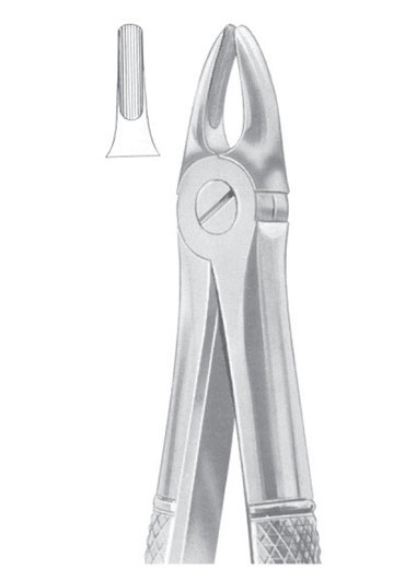 1033 Fig. 37 upper incisors for children 